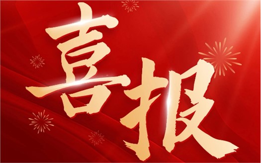 集团荣膺2025中国民营企业500强第249位，制造业民营企业500强第177位，排名较去年双双大幅提升