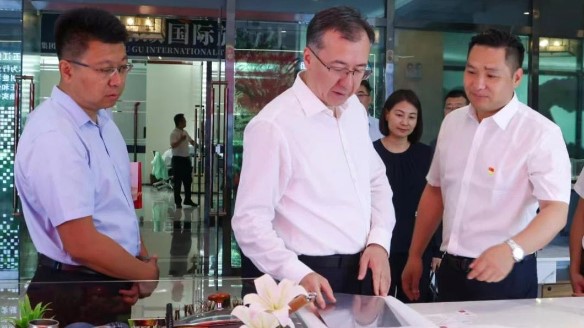 新疆维吾尔自治区领导伊力扎提·艾合买提江莅临HJC黄金城官网温泉城视察指导